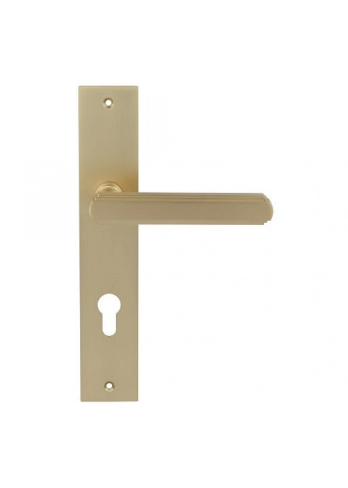 Дверная ручка на планке PORTA DI PARMA Glamour Матовое золото CYL 2417.07