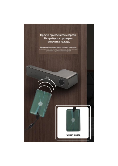 Умная дверная ручка-замок Smart 01 Platinum Gray с отпечатком пальца и поддержкой Smart Life (Платиново-серый)