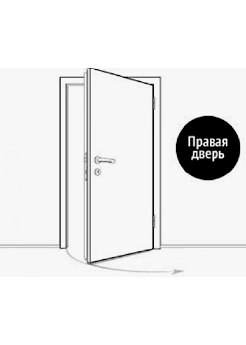 Входная дверь Викинг с зеркалом